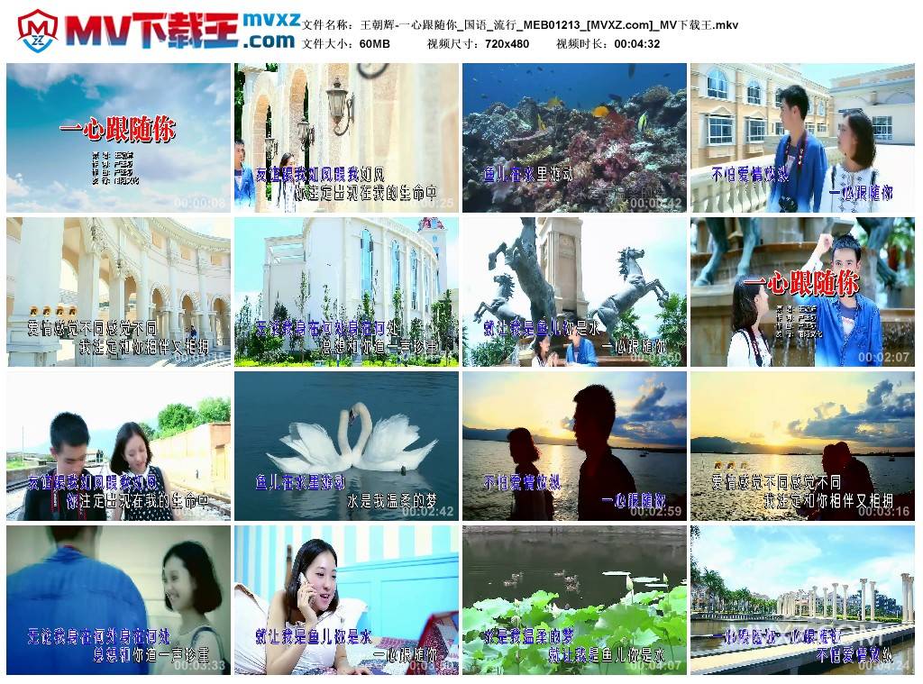 王朝辉-一心跟随你_国语_流行_MEB01213